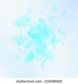Turquoise flower petals falling down. Divine romantic flowers explosion. Flying petal on blue sky square background. Love, romance concept. Artistic wedding invitation.