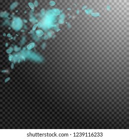 Turquoise flower petals falling down. Remarkable romantic flowers corner. Flying petal on transparent square background. Love, romance concept. Amusing wedding invitation.