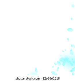 Turquoise flower petals falling down. Worthy romantic flowers corner. Flying petal on white square background. Love, romance concept. Admirable wedding invitation.