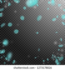 Turquoise flower petals falling down. Attractive romantic flowers vignette. Flying petal on transparent square background. Love, romance concept. Cute wedding invitation.
