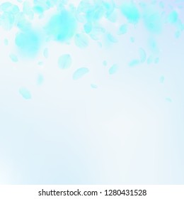 Turquoise flower petals falling down. Alive romantic flowers gradient. Flying petal on blue sky square background. Love, romance concept. Cool wedding invitation.