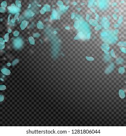 Turquoise flower petals falling down. Amazing romantic flowers falling rain. Flying petal on transparent square background. Love, romance concept. Beauteous wedding invitation.
