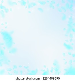 Turquoise flower petals falling down. Creative romantic flowers frame. Flying petal on blue sky square background. Love, romance concept. Bizarre wedding invitation.