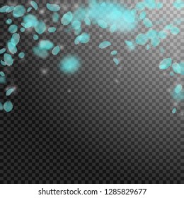 Turquoise flower petals falling down. Superb romantic flowers falling rain. Flying petal on transparent square background. Love, romance concept. Authentic wedding invitation.