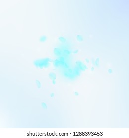Turquoise flower petals falling down. Outstanding romantic flowers explosion. Flying petal on blue sky square background. Love, romance concept. Artistic wedding invitation.