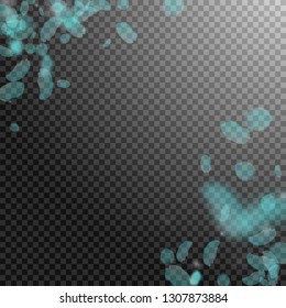 Turquoise flower petals falling down. Great romantic flowers corner. Flying petal on transparent square background. Love, romance concept. Alluring wedding invitation.