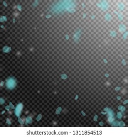 Turquoise flower petals falling down. Radiant romantic flowers vignette. Flying petal on transparent square background. Love, romance concept. Curious wedding invitation.