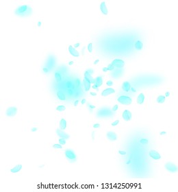 Turquoise flower petals falling down. Likable romantic flowers explosion. Flying petal on white square background. Love, romance concept. Astonishing wedding invitation.