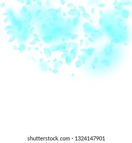 Turquoise flower petals falling down. Precious romantic flowers semicircle. Flying petal on white square background. Love, romance concept. Cool wedding invitation.