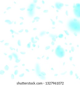 Turquoise flower petals falling down. Appealing romantic flowers falling rain. Flying petal on white square background. Love, romance concept. Bewitching wedding invitation.