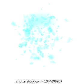 Turquoise flower petals falling down. Likable romantic flowers explosion. Flying petal on white square background. Love, romance concept. Artistic wedding invitation.