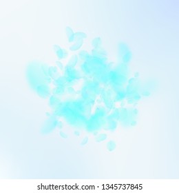 Turquoise flower petals falling down. Wondrous romantic flowers explosion. Flying petal on blue sky square background. Love, romance concept. Astonishing wedding invitation.