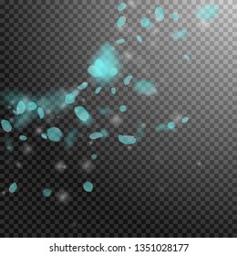 Turquoise flower petals falling down. Remarkable romantic flowers corner. Flying petal on transparent square background. Love, romance concept. Alive wedding invitation.