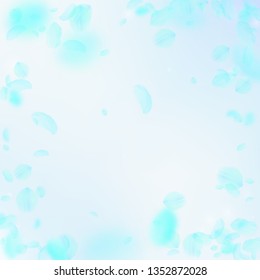 Turquoise flower petals falling down. Uncommon romantic flowers vignette. Flying petal on blue sky square background. Love, romance concept. Curious wedding invitation.