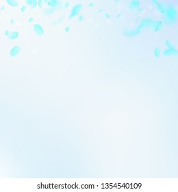 Turquoise flower petals falling down. Bewitching romantic flowers gradient. Flying petal on blue sky square background. Love, romance concept. Charming wedding invitation.