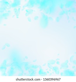 Turquoise flower petals falling down. Fresh romantic flowers falling rain. Flying petal on blue sky square background. Love, romance concept. Beauteous wedding invitation.