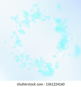 Turquoise flower petals falling down. Exquisite romantic flowers vignette. Flying petal on blue sky square background. Love, romance concept. Curious wedding invitation.
