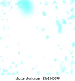 Turquoise flower petals falling down. Decent romantic flowers vignette. Flying petal on white square background. Love, romance concept. Cute wedding invitation.