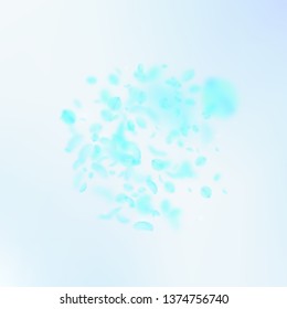 Turquoise flower petals falling down. Ecstatic romantic flowers explosion. Flying petal on blue sky square background. Love, romance concept. Attractive wedding invitation.