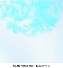 Turquoise flower petals falling down. Majestic romantic flowers semicircle. Flying petal on blue sky square background. Love, romance concept. Cool wedding invitation.