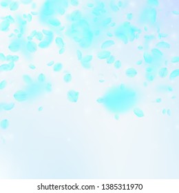 Turquoise flower petals falling down. Eminent romantic flowers falling rain. Flying petal on blue sky square background. Love, romance concept. Authentic wedding invitation.