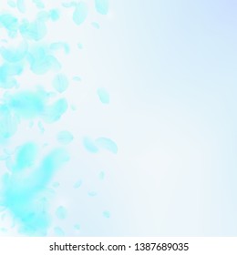 Turquoise flower petals falling down. Remarkable romantic flowers gradient. Flying petal on blue sky square background. Love, romance concept. Brilliant wedding invitation.