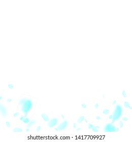 Turquoise flower petals falling down. Magnetic romantic flowers gradient. Flying petal on white square background. Love, romance concept. Classic wedding invitation.