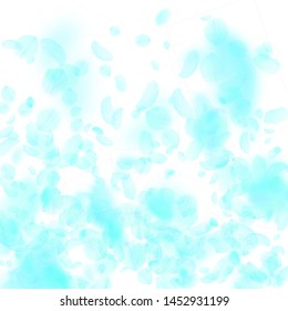 Turquoise flower petals falling down. Good-looking romantic flowers gradient. Flying petal on white square background. Love, romance concept. Comely wedding invitation.