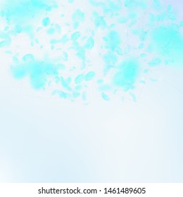 Turquoise flower petals falling down. Symmetrical romantic flowers semicircle. Flying petal on blue sky square background. Love, romance concept. Cool wedding invitation.