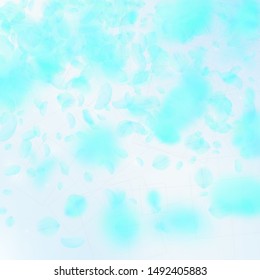 Turquoise flower petals falling down. Bold romantic flowers gradient. Flying petal on blue sky square background. Love, romance concept. Classic wedding invitation.