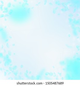 Turquoise flower petals falling down. Memorable romantic flowers vignette. Flying petal on blue sky square background. Love, romance concept. Creative wedding invitation.