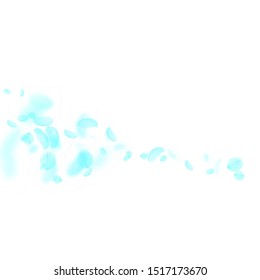 Turquoise flower petals falling down. Alluring romantic flowers comet. Flying petal on white square background. Love, romance concept. Admirable wedding invitation.