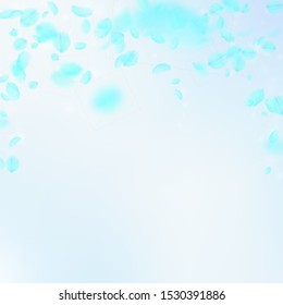 Turquoise flower petals falling down. Sublime romantic flowers falling rain. Flying petal on blue sky square background. Love, romance concept. Authentic wedding invitation.