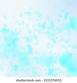 Turquoise flower petals falling down. Imaginative romantic flowers gradient. Flying petal on blue sky square background. Love, romance concept. Breathtaking wedding invitation.