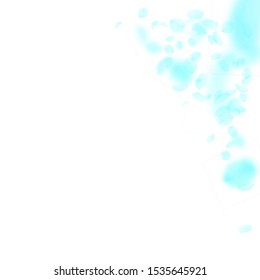 Turquoise flower petals falling down. Vibrant romantic flowers corner. Flying petal on white square background. 