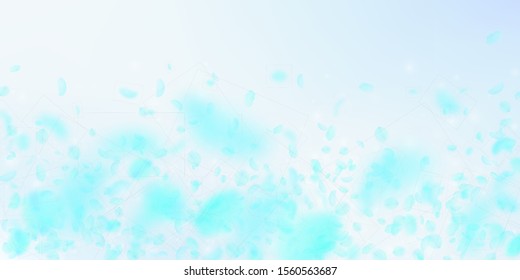 Turquoise flower petals falling down. Elegant romantic flowers falling rain. Flying petal on blue sky wide background. Love, romance concept. Delightful wedding invitation.