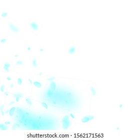Turquoise flower petals falling down. Authentic romantic flowers corner. Flying petal on white square background. Love, romance concept. Amazing wedding invitation.
