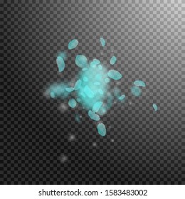 Turquoise flower petals falling down. Worthy romantic flowers explosion. Flying petal on transparent square background. Love, romance concept. Artistic wedding invitation.