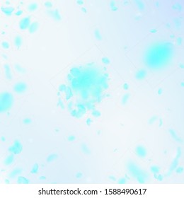 Turquoise flower petals falling down. Vibrant romantic flowers explosion. Flying petal on blue sky square background. Love, romance concept. Appealing wedding invitation.