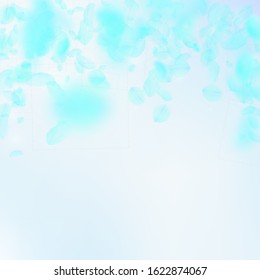 Turquoise flower petals falling down. Pleasing romantic flowers falling rain. Flying petal on blue sky square background. Love, romance concept. Authentic wedding invitation.
