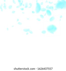Turquoise flower petals falling down. Symmetrical romantic flowers gradient. Flying petal on white square background. Love, romance concept. Comely wedding invitation.