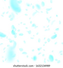 Turquoise flower petals falling down. Graceful romantic flowers falling rain. Flying petal on white square background. Love, romance concept. Beautiful wedding invitation.