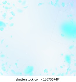 Pétalos de flores turquesa cayendo. Valiosa viñeta de flores románticas. Petal volando sobre fondo azul de la plaza del cielo. Amor, concepto romántico. Una deslumbrante invitación a la boda.