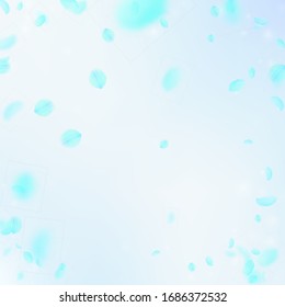 Turquoise flower petals falling down. Astonishing romantic flowers vignette. Flying petal on blue sky square background. Love, romance concept. Cute wedding invitation.