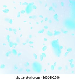 Turquoise flower petals falling down. Exceptional romantic flowers falling rain. Flying petal on blue sky square background. Love, romance concept. Bewitching wedding invitation.