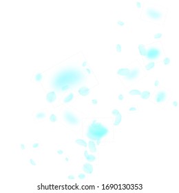 Turquoise flower petals falling down. Adorable romantic flowers corner. Flying petal on white square background. Love, romance concept. Alluring wedding invitation.