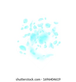 Turquoise flower petals falling down. Brilliant romantic flowers explosion. Flying petal on white square background. Love, romance concept. Attractive wedding invitation.