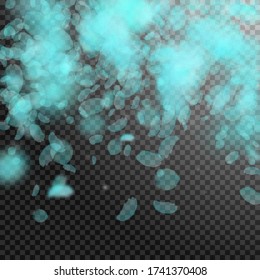 Turquoise flower petals falling down. Captivating romantic flowers falling rain. Flying petal on transparent square background. Love, romance concept. Authentic wedding invitation.