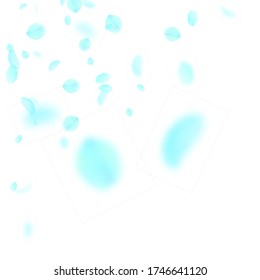 Turquoise flower petals falling down. Powerful romantic flowers corner. Flying petal on white square background. Love, romance concept. Amazing wedding invitation.