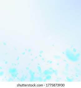 Turquoise flower petals falling down. Impressive romantic flowers gradient. Flying petal on blue sky square background. Love, romance concept. Brilliant wedding invitation.
